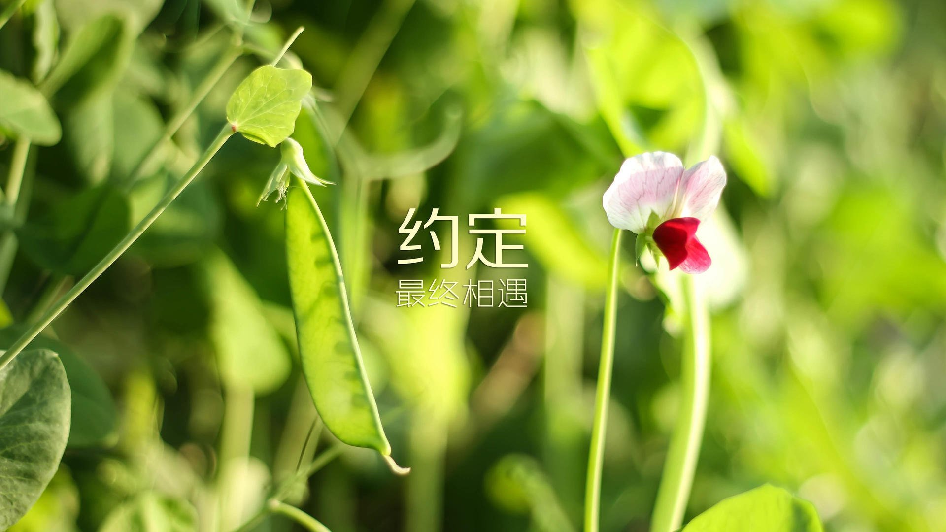 世界乒乓球赛季新人评选第29版规则发布，29届世界乒乓球冠军是谁